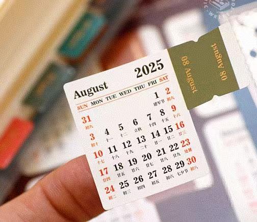 2025 Calendar Sticker | 2025 Calendar | 2025 April to 2026 July | Sticky Tabs | Monthly Plan Stickers | Planner Accessories | Bullet Journal