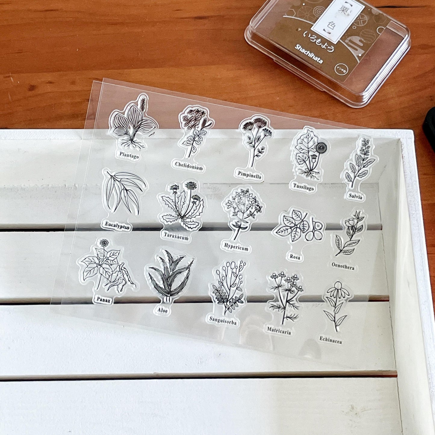 Flower Silicone Stamp | Flora Botanicals Transparent Clear Stamp Set | Scrapbooking Stamp | Planner Stamp | Bullet Journal
