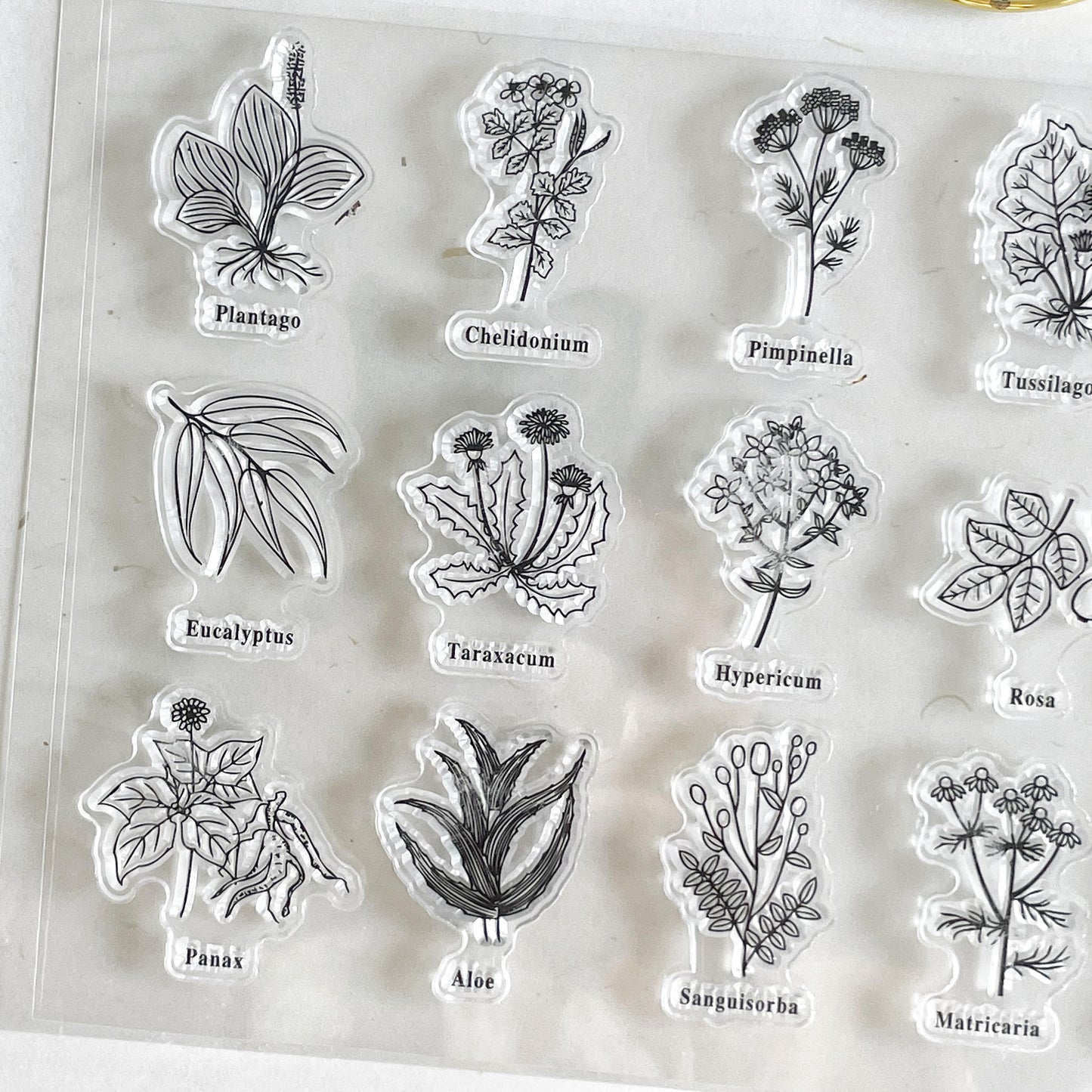 Flower Silicone Stamp | Flora Botanicals Transparent Clear Stamp Set | Scrapbooking Stamp | Planner Stamp | Bullet Journal