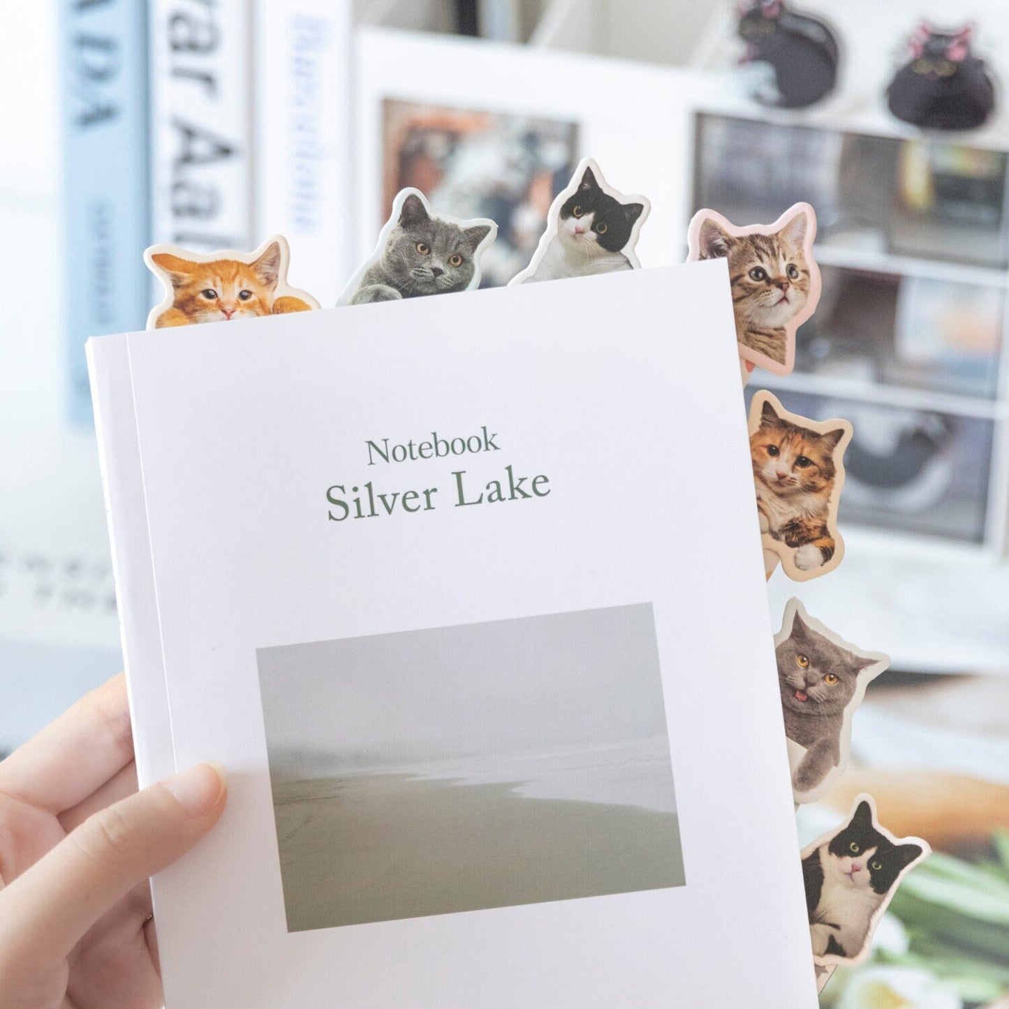 Cute Cat Magnetic Bookmark | Kawaii Kitten Page Keeper | Book Lover Gift | Planner Journal Bookmarks | Book Accessories Gift for Reader Her