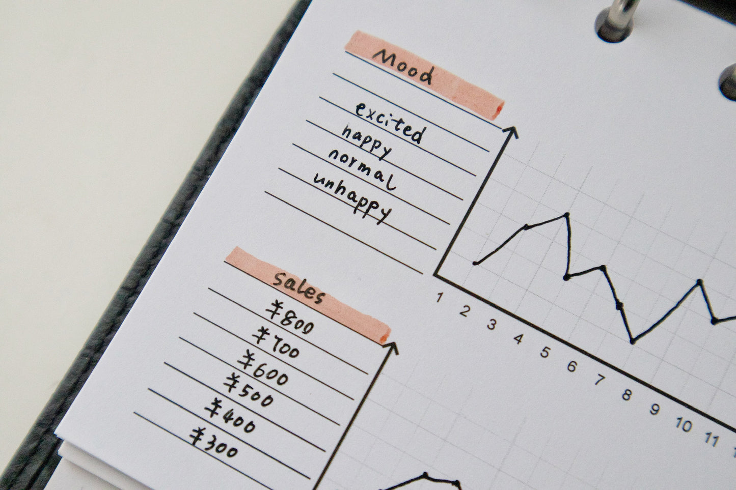 Line Chart Tracker Planner Inserts | 20 Sheets | Personal A5 A6 | 6 Rings Planner | Binder Refills