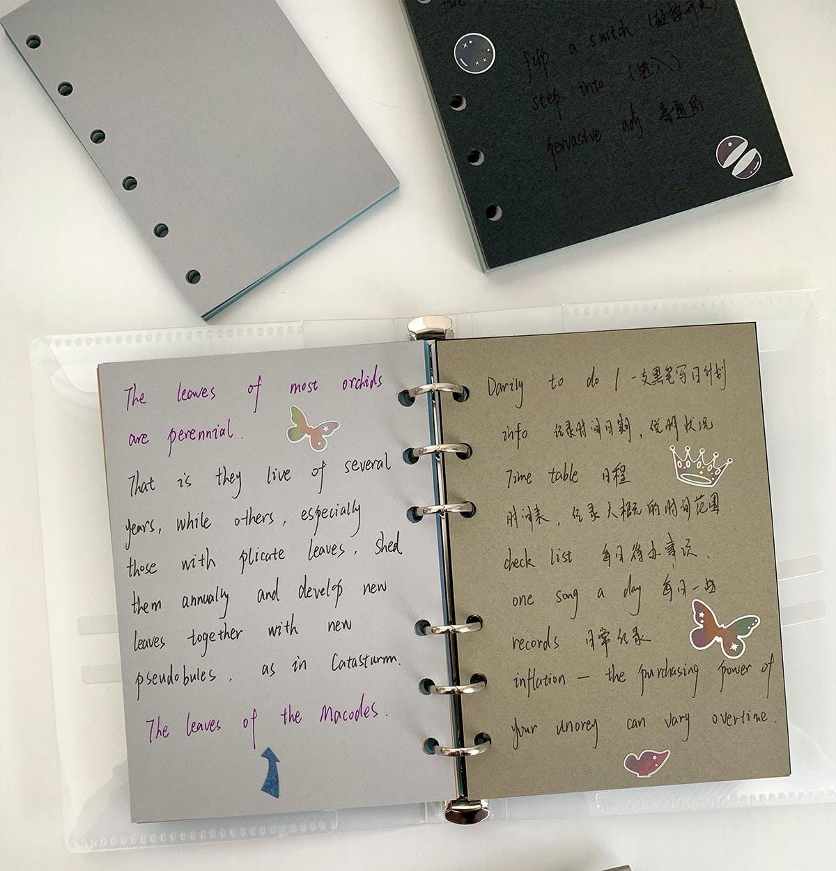 20 Colors M5 A7 True A6 Blank 6 Ring Planner Inserts | 120gsm Papers | Six Ring Binder Refill Paper | Loose-leaf Refills Planner Accessories