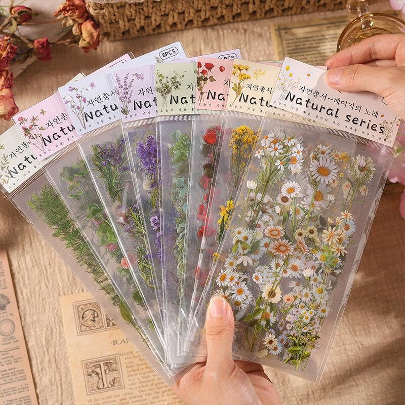 6pcs Flowers Plants Transparent Sticker | Floral Botanical Stickers | Planner Bullet Journal Junk Journal Craft Collage Stickers