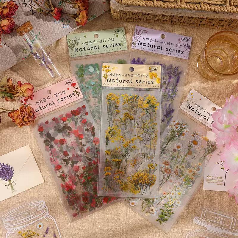 6pcs Flowers Plants Transparent Sticker | Floral Botanical Stickers | Planner Bullet Journal Junk Journal Craft Collage Stickers