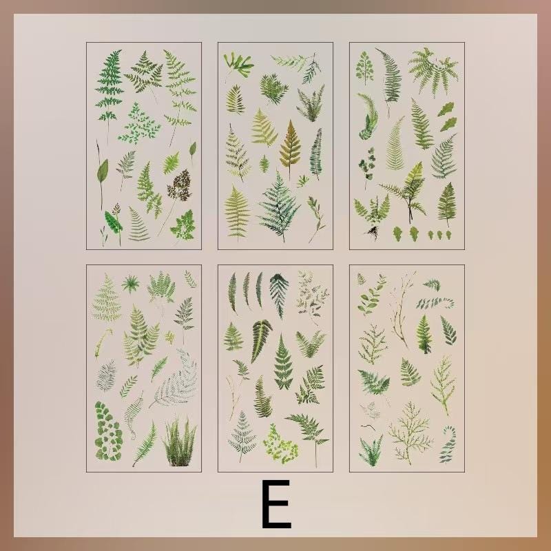 6pcs Flowers Plants Transparent Sticker | Floral Botanical Stickers | Planner Bullet Journal Junk Journal Craft Collage Stickers