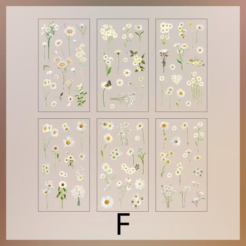 6pcs Flowers Plants Transparent Sticker | Floral Botanical Stickers | Planner Bullet Journal Junk Journal Craft Collage Stickers