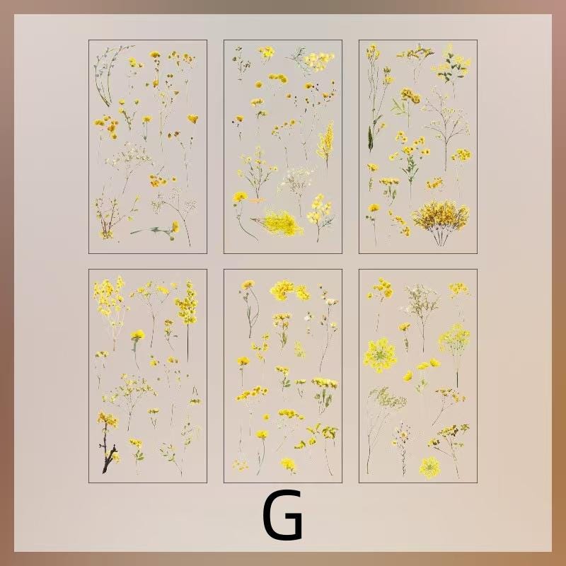 6pcs Flowers Plants Transparent Sticker | Floral Botanical Stickers | Planner Bullet Journal Junk Journal Craft Collage Stickers