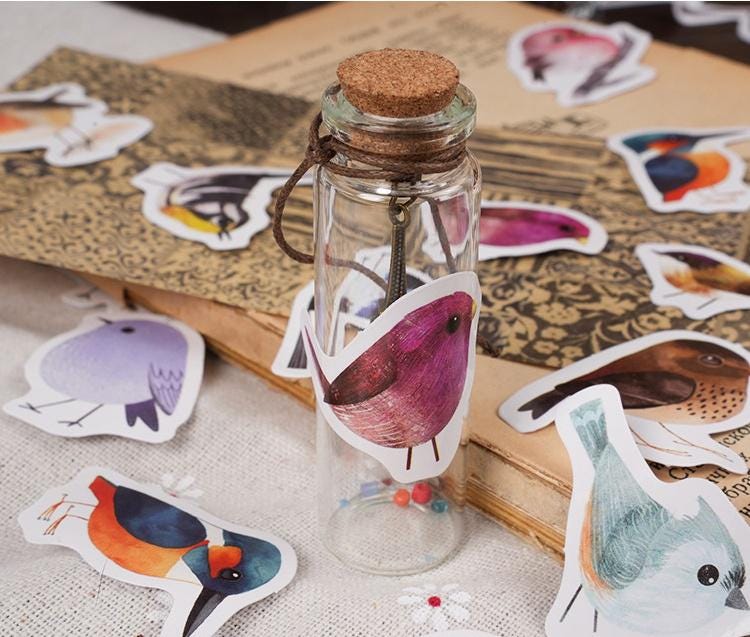 46pcs Cute Birds Sticker Pack | Junk Journal Stickers | Planner Sticker Set | Scrapbooking Kids Craft Supplies