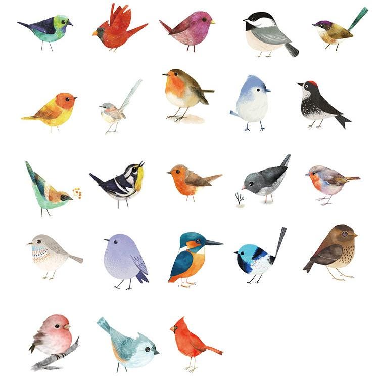 46pcs Cute Birds Sticker Pack | Junk Journal Stickers | Planner Sticker Set | Scrapbooking Kids Craft Supplies
