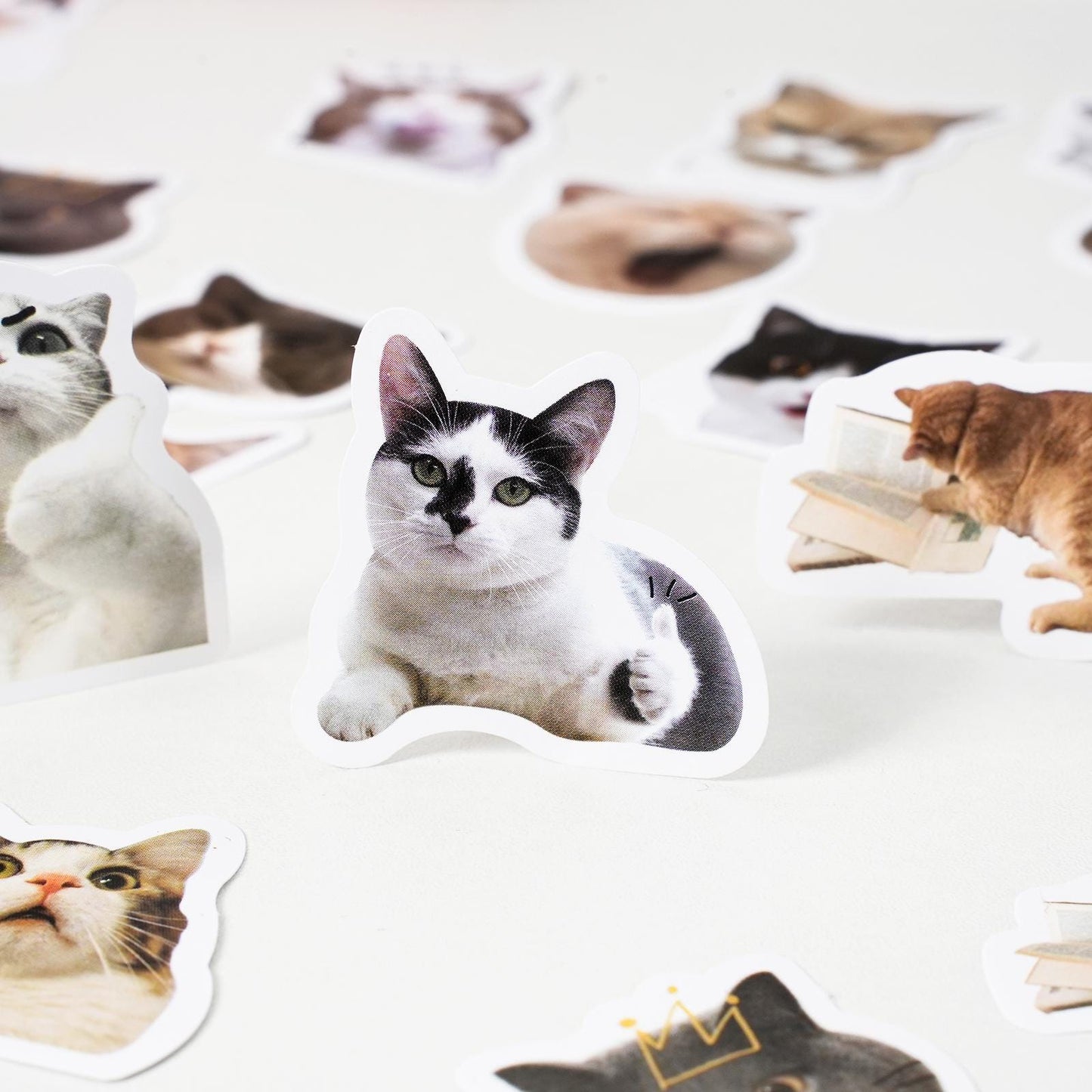 46pcs Cute Cat Sticker Pack | Junk Journal Stickers | Planner Sticker Set | Scrapbooking Kids Craft Supplies