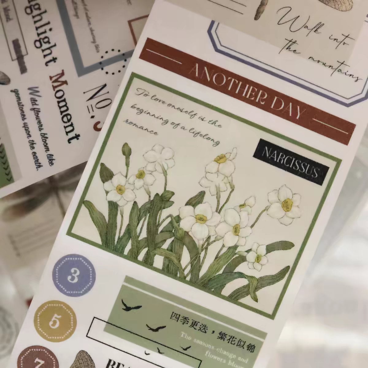 Retro Dragonfly Flower Collage PET Tape | Washi Tape | Decorative Tapes Stickers | Planner Junk Journal Craft Collage Scrapbooking Supplies