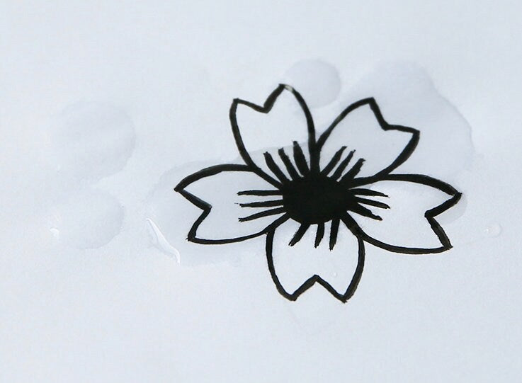 STA Pigment Fine Liner Pen | Graphic & Brush Pen | Black Fineliner Marker