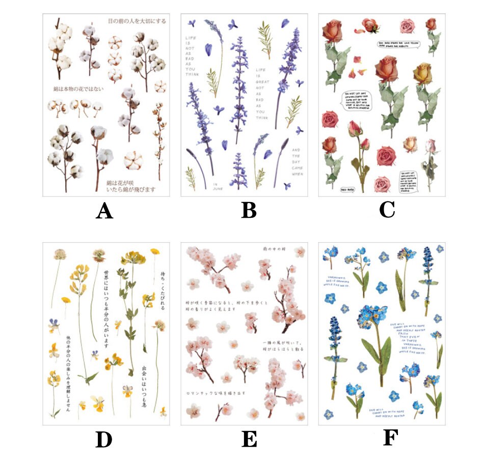 Plants Transparent Sticker/ Floral Botanical / Stickers / Planner Sticker