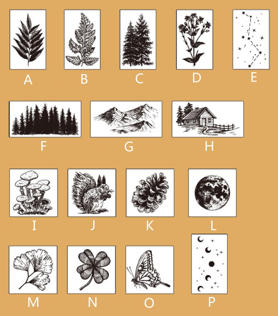 Jungle Series Rubber Stamp | Wooden Stamp Set | Scrapbooking Stamp | Planner Stamp