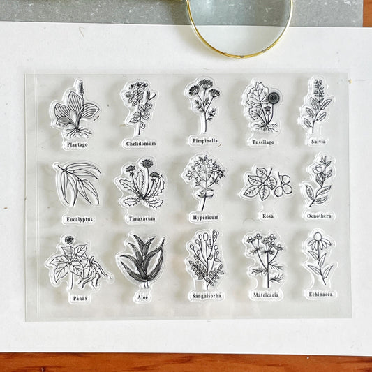 Flower Silicone Stamp | Flora Botanicals Transparent Clear Stamp Set | Scrapbooking Stamp | Planner Stamp | Bullet Journal
