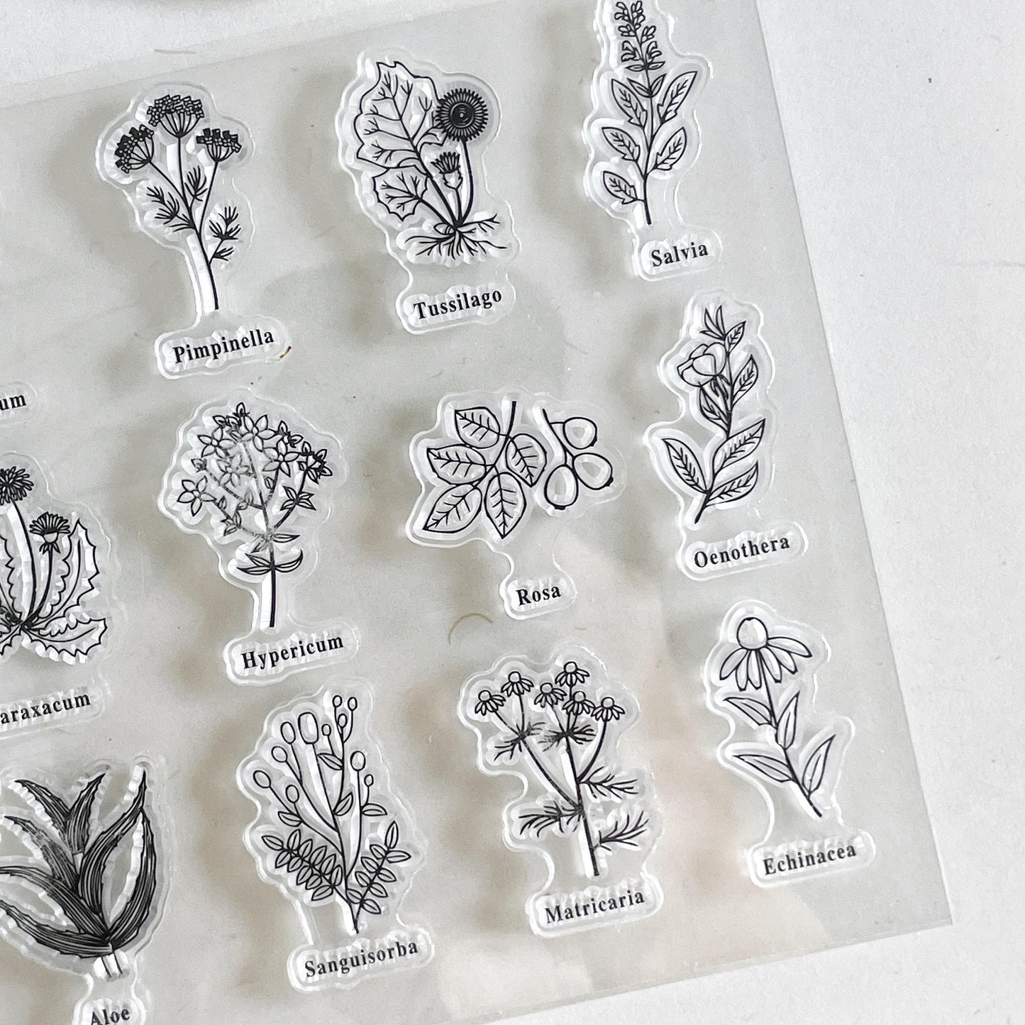 Flower Silicone Stamp | Flora Botanicals Transparent Clear Stamp Set | Scrapbooking Stamp | Planner Stamp | Bullet Journal