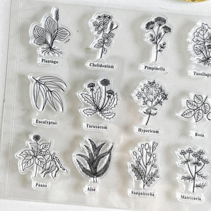 Flower Silicone Stamp | Flora Botanicals Transparent Clear Stamp Set | Scrapbooking Stamp | Planner Stamp | Bullet Journal