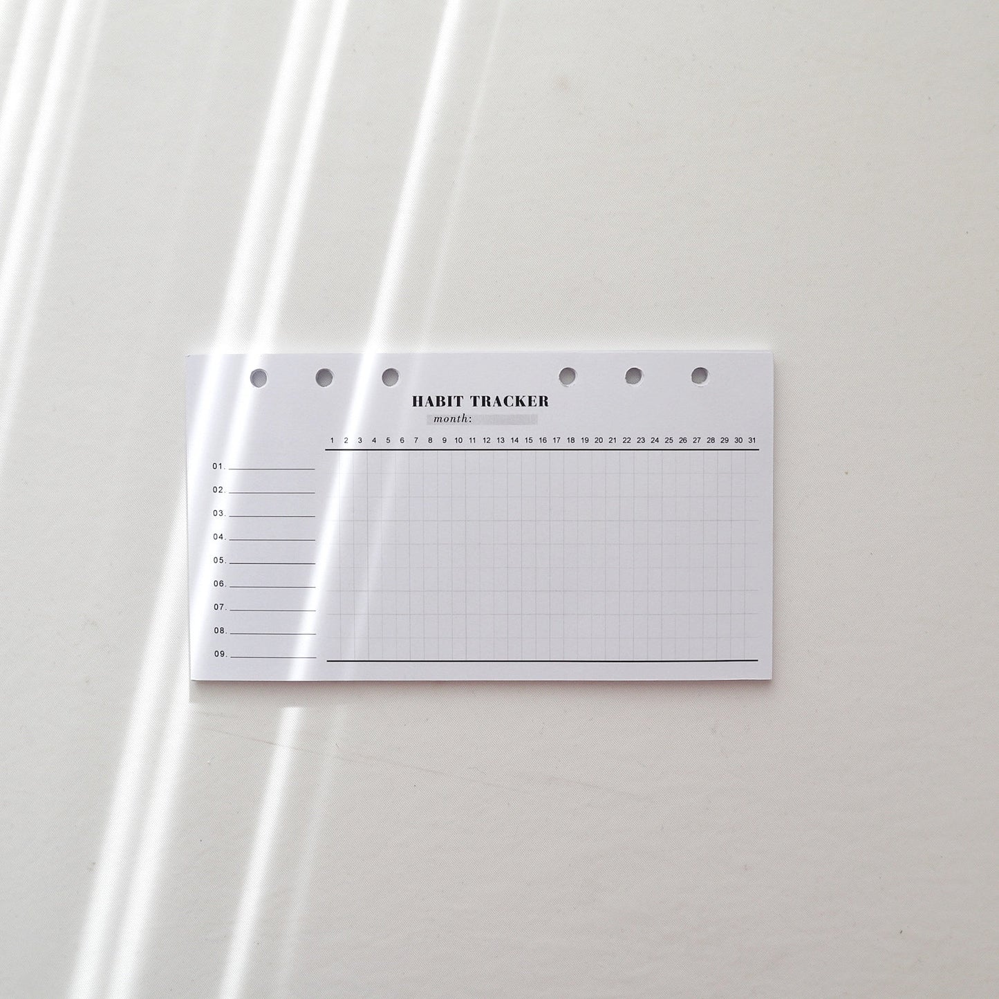 Printed Minimal Habit Tracker Planner Inserts | 20 Sheets | Habit Planner | Personal A5 A6 | 6 Rings Planner | Binder Refills