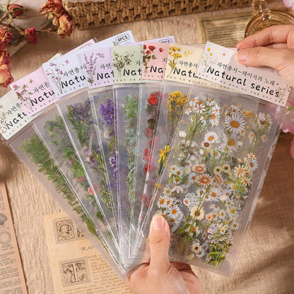 6pcs Flowers Plants Transparent Sticker | Floral Botanical Stickers | Planner Bullet Journal Junk Journal Craft Collage Stickers