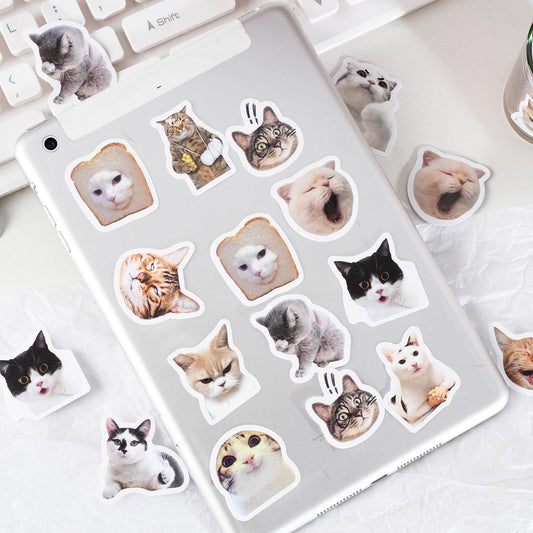 46pcs Cute Cat Sticker Pack | Junk Journal Stickers | Planner Sticker Set | Scrapbooking Kids Craft Supplies