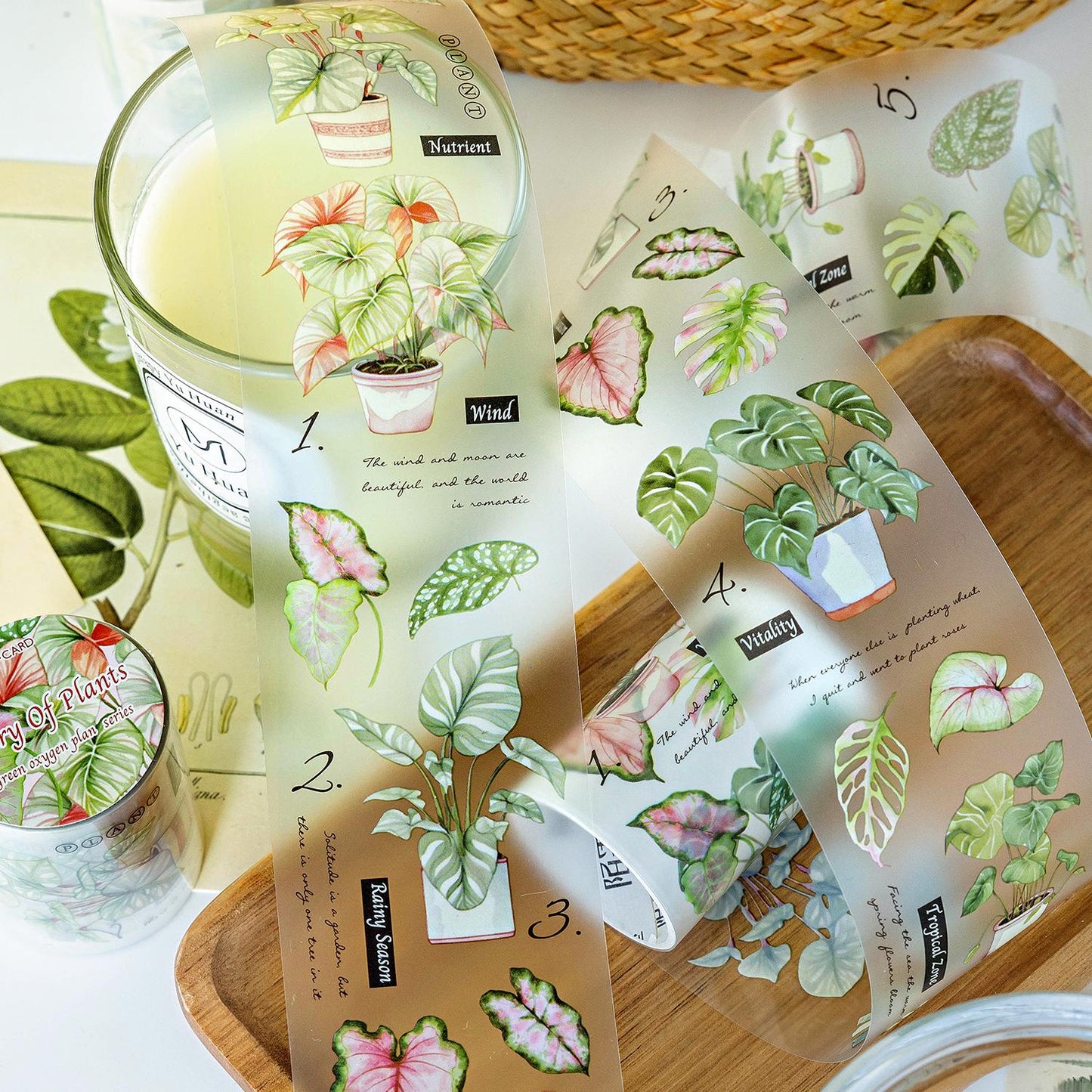 Plants Girls Life AestheticsTape | Green Plants PET tape | Masking Tape | PET Tape Roll | Nature Themes Tape | Gift Wrapping |Gift for Girls