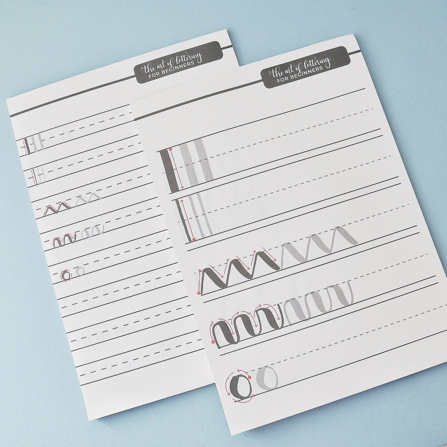 Brush Lettering Practice Sheets for Beginners | Calligraphy Practice Guide | Handwriting Worksheet
