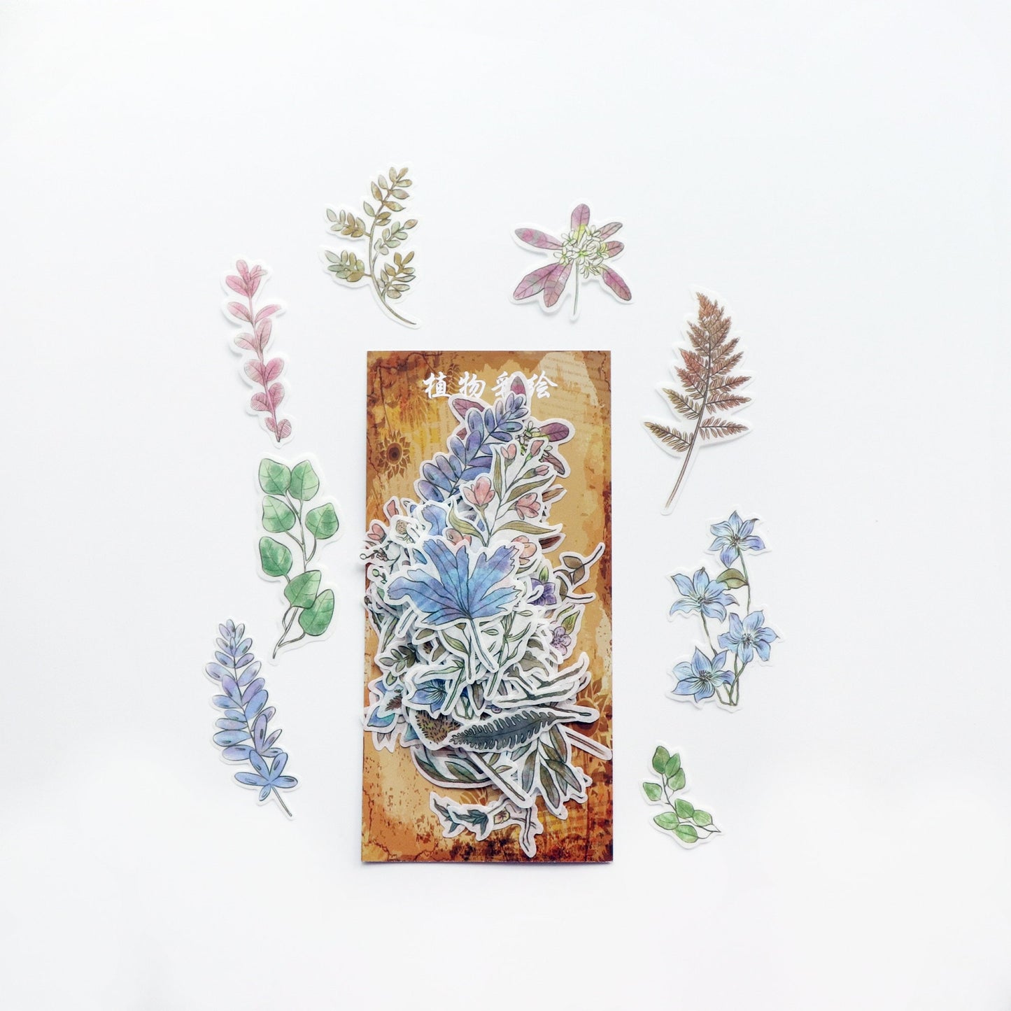 60pcs Plants Sticker Pack / Floral Botanical /  Stickers / Planner Sticker Set