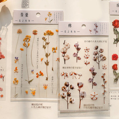 Plants Transparent Sticker/ Floral Botanical /  Stickers / Planner Sticker