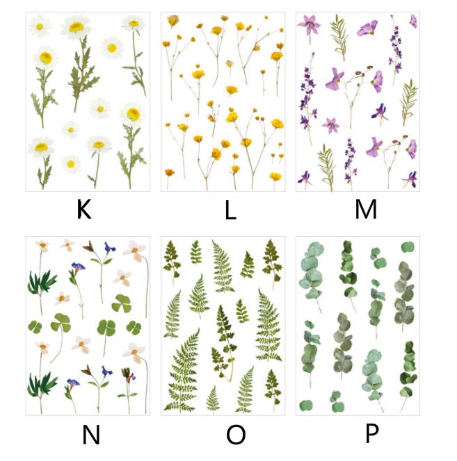 Plants Transparent Sticker/ Floral Botanical /  Stickers / Planner Sticker