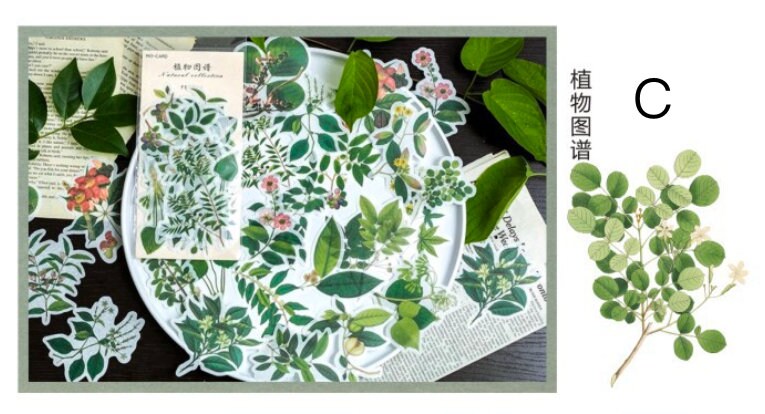 60pcs Vintage Plants Sticker Pack / Floral Botanical /  Stickers / Planner Sticker Set